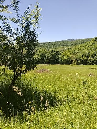2 otaqlı mənzil kiraye: Tikinti, Mülkiyyətçi — 4