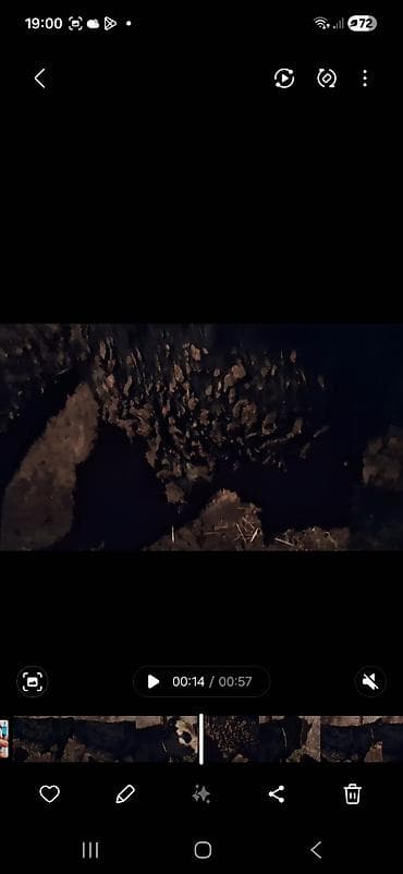 erkey danalar: Qeseng erkek dana super aktiv danadır simental sahron qarısığı — 7