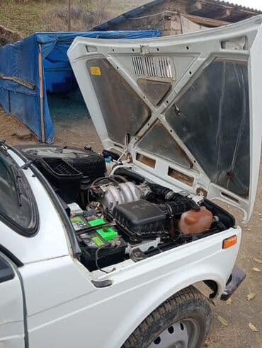 VAZ (LADA) 4x4 Niva: 1.7 l | 2012 il Ofrouder/SUV