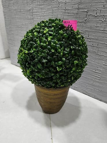 Dekorativ süni topiar – qapalı məkanlar üçün - Material: keyfiyyətli