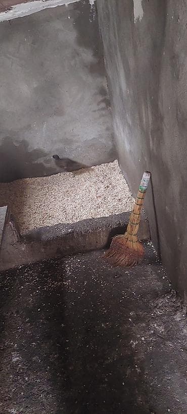 Məhsul: Cücələrin saxlanması üçün balaca beton qəfəs/bölmə Təsvir: -