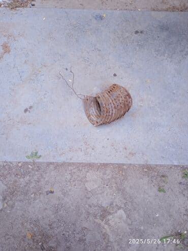 bit daragi harada satilir: Nal at üçün
10 dene — 1