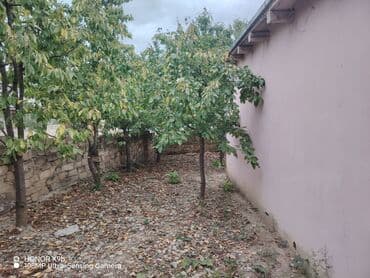 hokməlidə həyət evləri: Obyekt: Həyət evi Təsvir:Gözel tebiet panaraması var. Temiz dağ — 10