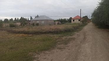 modern evler: 204 sot, Kənd təsərrüfatı, Mülkiyyətçi, Kupça (Çıxarış) — 8