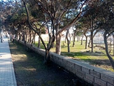 xacmazda dasinmaz əmlak: 15 sot, Mülkiyyətçi, Bələdiyyə — 10