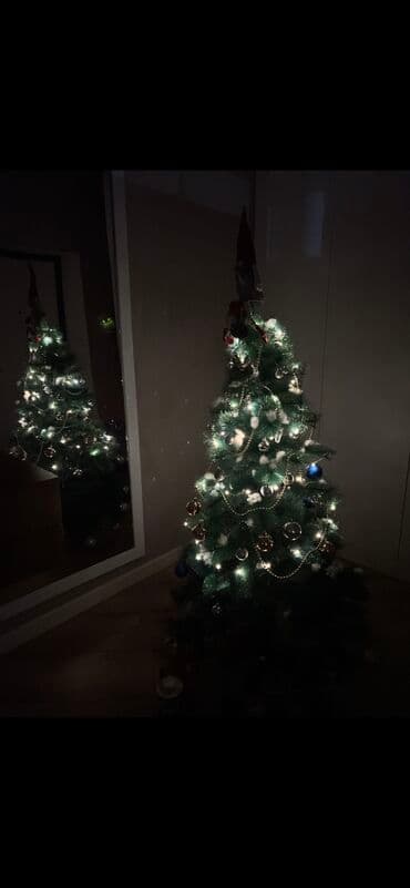 bertolesiya ağacı: Şam ağacı/ Yolka 150 sm 1 il qurulub İdeal vəziyyətdə Bircə ayağında — 1