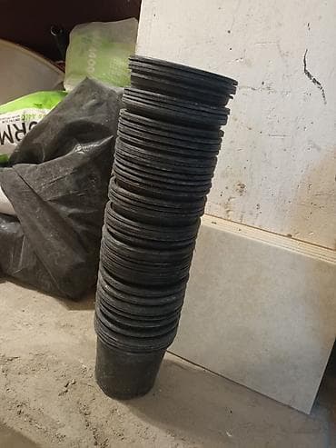 ciledagi bitkisi: Tecili satilir hamsi birlikde tek tek verilmir 90 yaxin boyuk qablardi — 5