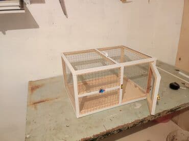 вольеры для маленьких собак: Dovşan,hamster,şinşila,bildirçin,cücə,xamyak,pişik,quş ve s kimi ev — 3