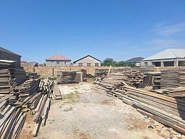 Digər: Dik taxda satlır ünvan Binə savxoz — 2