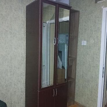 İşlənmiş, 2 qapılı, Güzgülü, Qəhvəyi, Digər material, Açılan, Düz dolab — 1