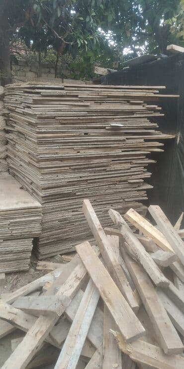 Информатика: Дикты, Платная доставка — 1