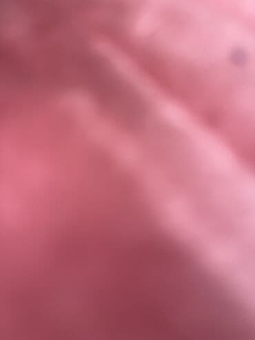 ağ gilas mürəbbəsi: Məhsul: Gül kolları (qırmızı və krem-sarı rəngli qızılgüllər) Təsvir — 4