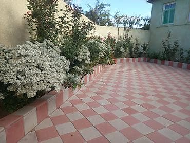 квартира на один день: Qazax rayonu çayli kəndində həyət evi satilir 12 sot torpaq sahəsi var — 8