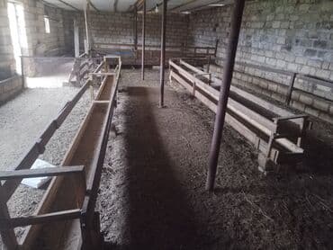 türkanda bağ evi satılır: Gəncə, 26 kv. m, 1 otaqlı, Hovuzsuz, Qaz, İşıq — 3