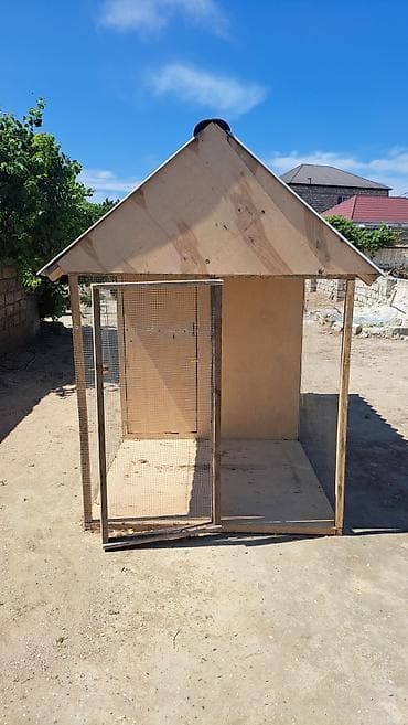 ucuz cuce: Taxta toyuq/heyvan yuvası və açıq volyer - Material: kontrplak və — 1