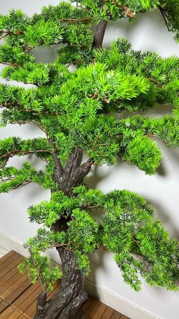 budda: Süni bonsai ağacı – dekorativ içməkan yaşıllaşdırma üçün - Realistik — 27