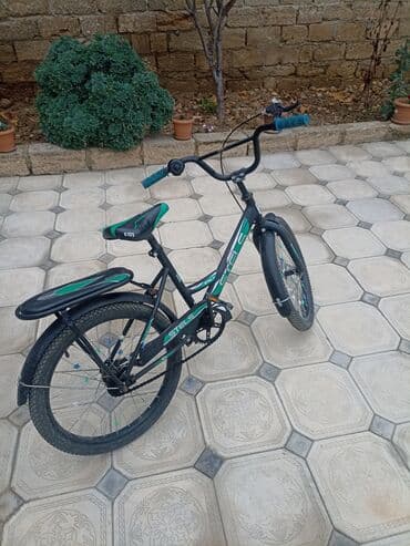 7 sinif biologiya: İki təkərli Uşaq velosipedi Stels, 20", sürətlərin sayı: 1, Pulsuz çatdırılma, Ödənişli çatdırılma — 3