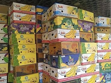 Banan karopkaları satılır. Qutu. Banan qutuları. Hamısı yaxşı — 3