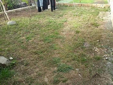 satlıq ev: Salom 2sot yarimda yarı tikili ev satılır işığı su quyusu var hazrdı — 4