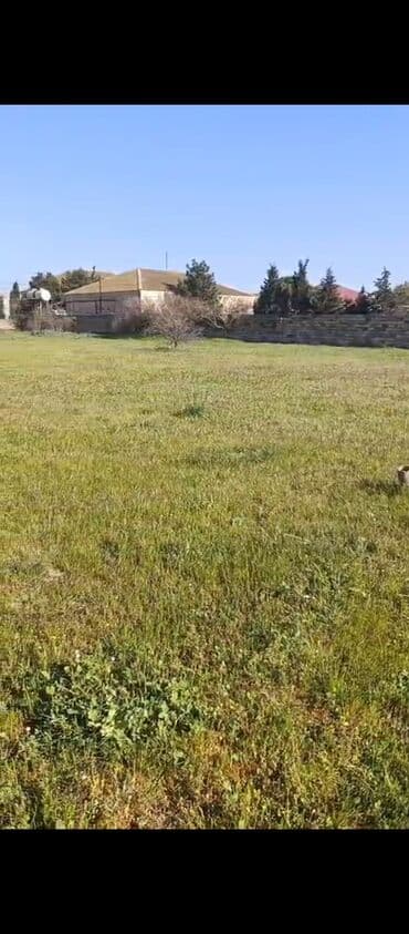 sahə: Tikinti, Mülkiyyətçi, Kupça (Çıxarış) — 1