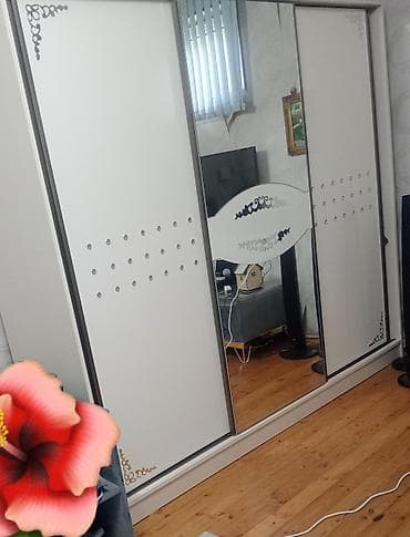 3 qapılı, Güzgülü, Ağ, Digər material, Kupe, Düz dolab