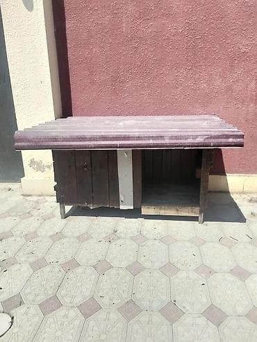 arı yuvası: Möhkem taxdadan yıgılmış yuva heyvanlar üçün rengli laknan renglenib — 1