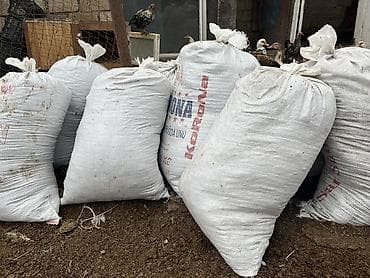 bitki toxumlarinin satisi: Mal peyinidi quru setkadan keçirilmişdi zil zibil deyil təmiz peyindi — 1