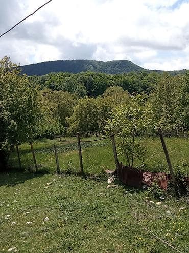 obyekt satilir: 60 sot, Kənd təsərrüfatı, Mülkiyyətçi, Kupça (Çıxarış) — 1