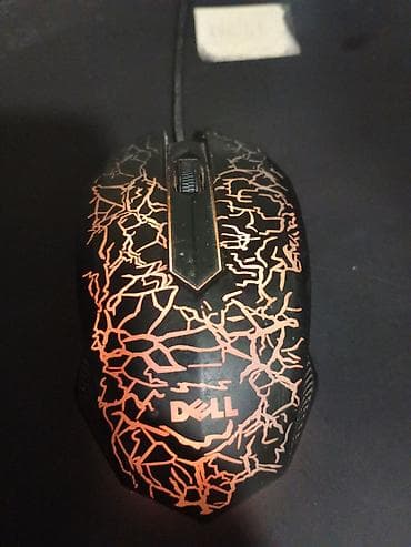 heyvan sekisleri: MİSKA — 1