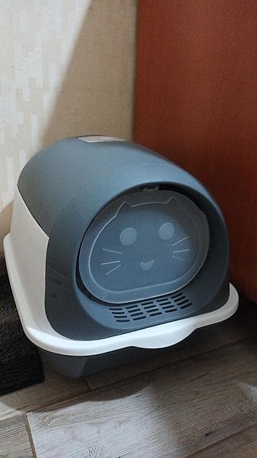 muhabbet kusu: Şotland, Dişi, Yaxşı əllərə — 4