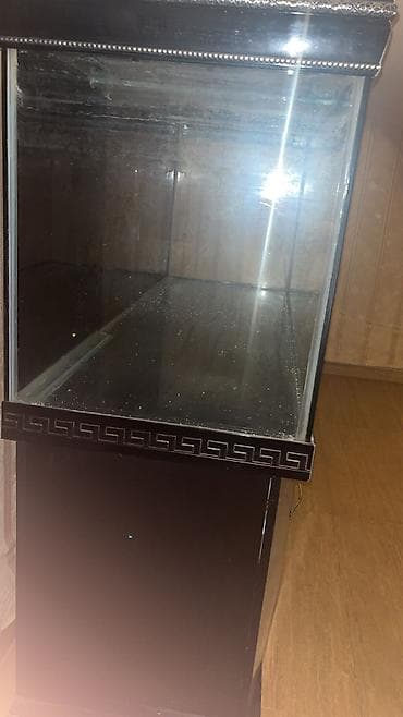 at qiyməti: Dördbucaq akvarium, Boş, 700 l, Ünvandan götürmə — 3