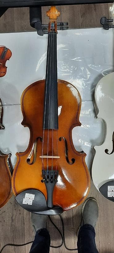 Skripka, violin 4/4 ölçü Rast musiqi alətləri mağazası. Əhmədli