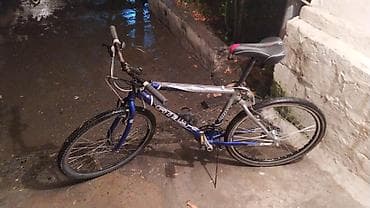 velosiped 28 satilir: Wolt da Bolt da işlemek uçun icareye gundelik velosipedler — 2