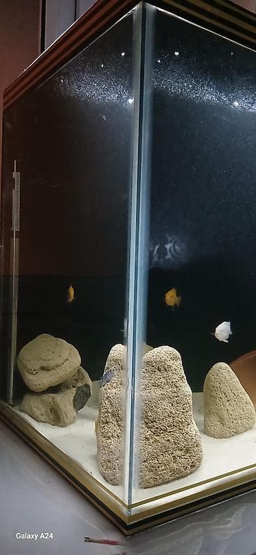 teze bazar akvarium: Boş, 96 l, Ünvandan götürmə, Ödənişli çatdırılma — 5