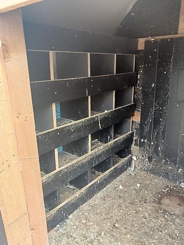 toyuq korlugu nedir: Taxta və metal dam örtüklü quşxana/saxlama daxması - Korpus: qalın — 3