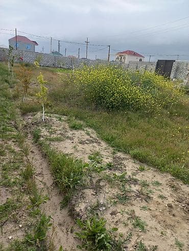 taxda evler: 10 sot, Tikinti, Mülkiyyətçi, Bələdiyyə — 9
