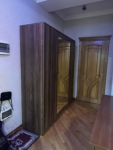 3 qapılı, Güzgülü, Qəhvəyi, Taxta, Açılan, Düz dolab