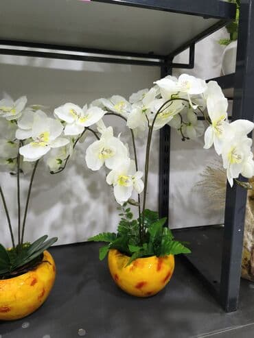 dibçek qabları: Dekorativ süni orkide kompozisiyası - Ağ orkide çiçəkləri və yaşıl — 1