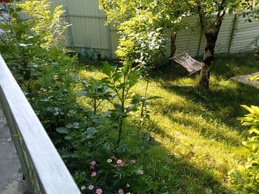 qaxda kirayə evlər 2023: 120 kv. m, 3 otaqlı, İnternet — 23