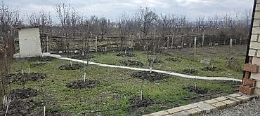 bileceride ucuz torpaq satilir: Satışda: Kərpicdən tikilmiş təkmərtəbəli fərdi yaşayış evi (tikinti — 5