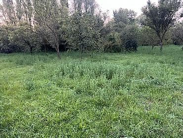 3 otaqlı mənzillərin satışı: Balakən, 63 kv. m, 4 otaqlı, Artezian quyusu — 10