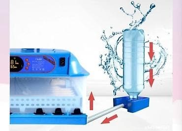ınqbator: Çin, Fabrik istehsalı, Tam avtomat, Bütün növ quşlaq üçün — 6