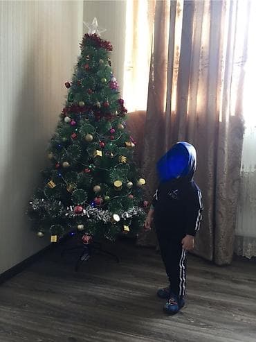 parca satisi instagram: Yeni il üçün istifadə olunmuş yolka satılır. •	Hündürlüyü təxmini 1.80 — 1