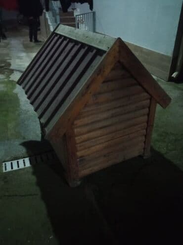 yumurta qoyan heyvanlar: Taxta it evi 100mt×100mt hundurluk 1.15mt — 3