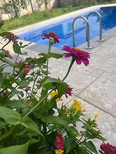 bulbulə ev: 150 kv. m, 3 otaqlı, Kombi, Qaz, İşıq — 10