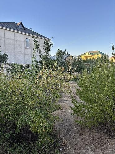 torpaq bakida: 5 sot, Tikinti, Mülkiyyətçi, Kupça (Çıxarış) — 6