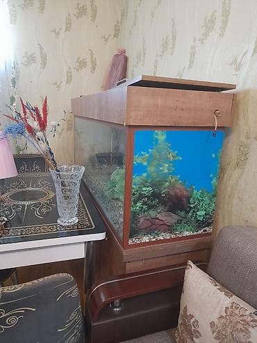 qlo: Akvarium 80 litr — 1