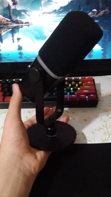 5 ci sinif ingilis dili kitabi lugeti: USB/XLR studiya mikrofonu – RGB işıqlı Kompüter noutbuk telefon v.s — 5