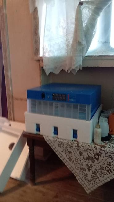 ucuz printer satilir: Yendi alinib istifade olmayib 250 Azn tecili satilir isteyen elaqe — 2