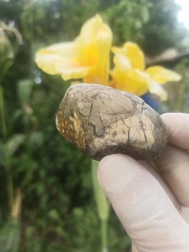 salcano baki: Təbii Naxışlı Təbii Mineral Pikasso Daşı 💎😍 Bu heyrətamiz və təbii — 5